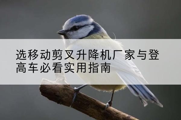 翁源电动升降机厂家-选移动剪叉升降机厂家与登高车必看实用指南