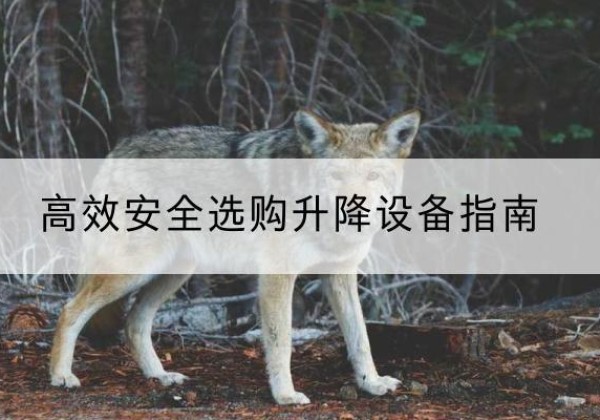 翁源升降货梯厂家推荐-*安全选购升降设备指南