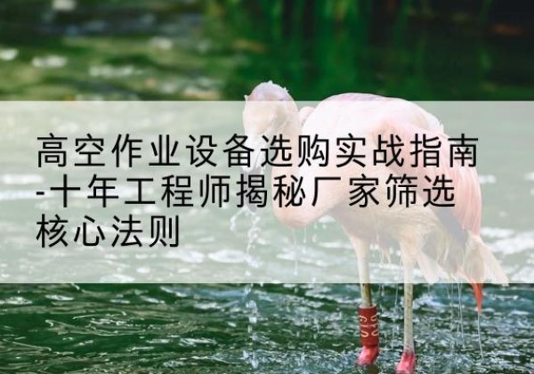 翁源剪叉式升降机厂家-高空作业设备选购实战指南-十年工程师揭秘厂家筛选核心法则